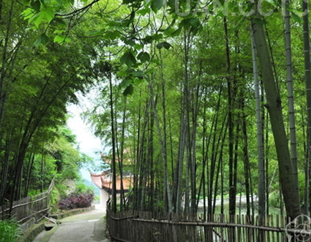 C：【清远】 清远金鸡岩，天鹿园，竹荟生态馆一天游