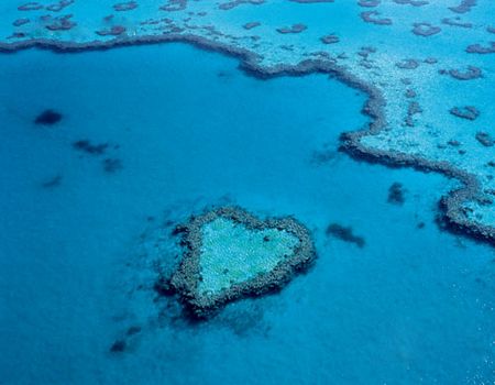 D:澳洲外堡礁8天经典尊贵游