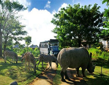 春节：蓝点风情PULS--巴厘岛动物园奇妙之旅五天四晚