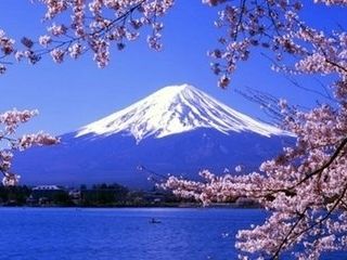 樱之雪--日本本州伊豆温泉美食赏樱六日游（深圳往返）