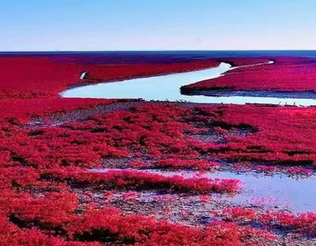 WJ-【北纬漠河】：哈尔滨·漠河·北极村·北红村双飞双卧六日游