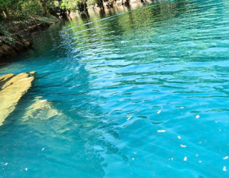 LL-纯悦贵州：果树瀑布-荔波小七孔-西江千户苗寨天河潭-青岩古镇高铁5日游