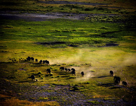 W-我要 DIY：众行肯尼亚10天