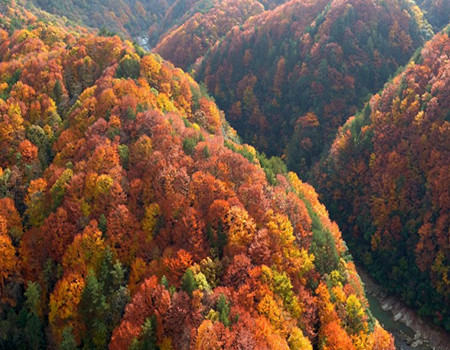 LT-【光雾枫华】：南充.米仓山（光雾山大坝）十八月潭.阆中古城.剑门关.翠云廊.明月峡栈道.南龛石窟纯玩六日游
