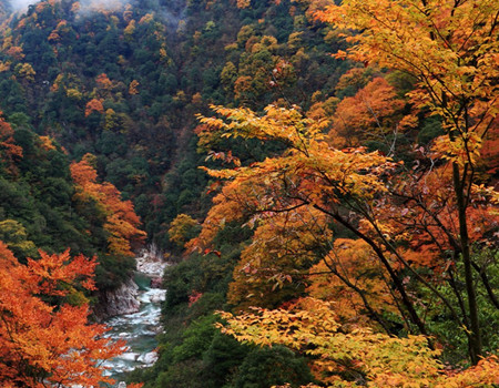 LT-【光雾秋色】：广元.米仓山（光雾山大坝）.十八月潭.阆中古城.剑门关.皇泽寺. 天汉楼纯玩五日游